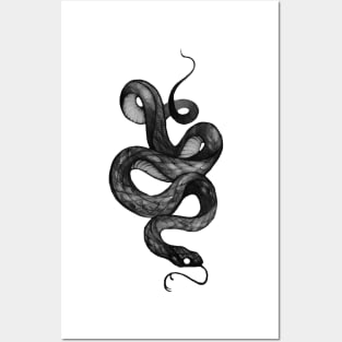 Black Snake Posters and Art